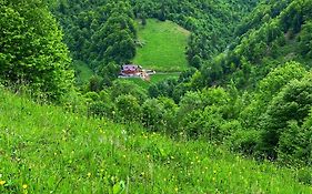 Pensiunea Valea Râsului